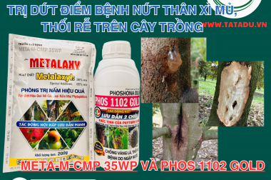 GIẢI PHÁP VÀNG: TRỊ DỨT ĐIỂM BỆNH NỨT THÂN XÌ MỦ, THỐI RỄ TRÊN CÂY TRỒNG