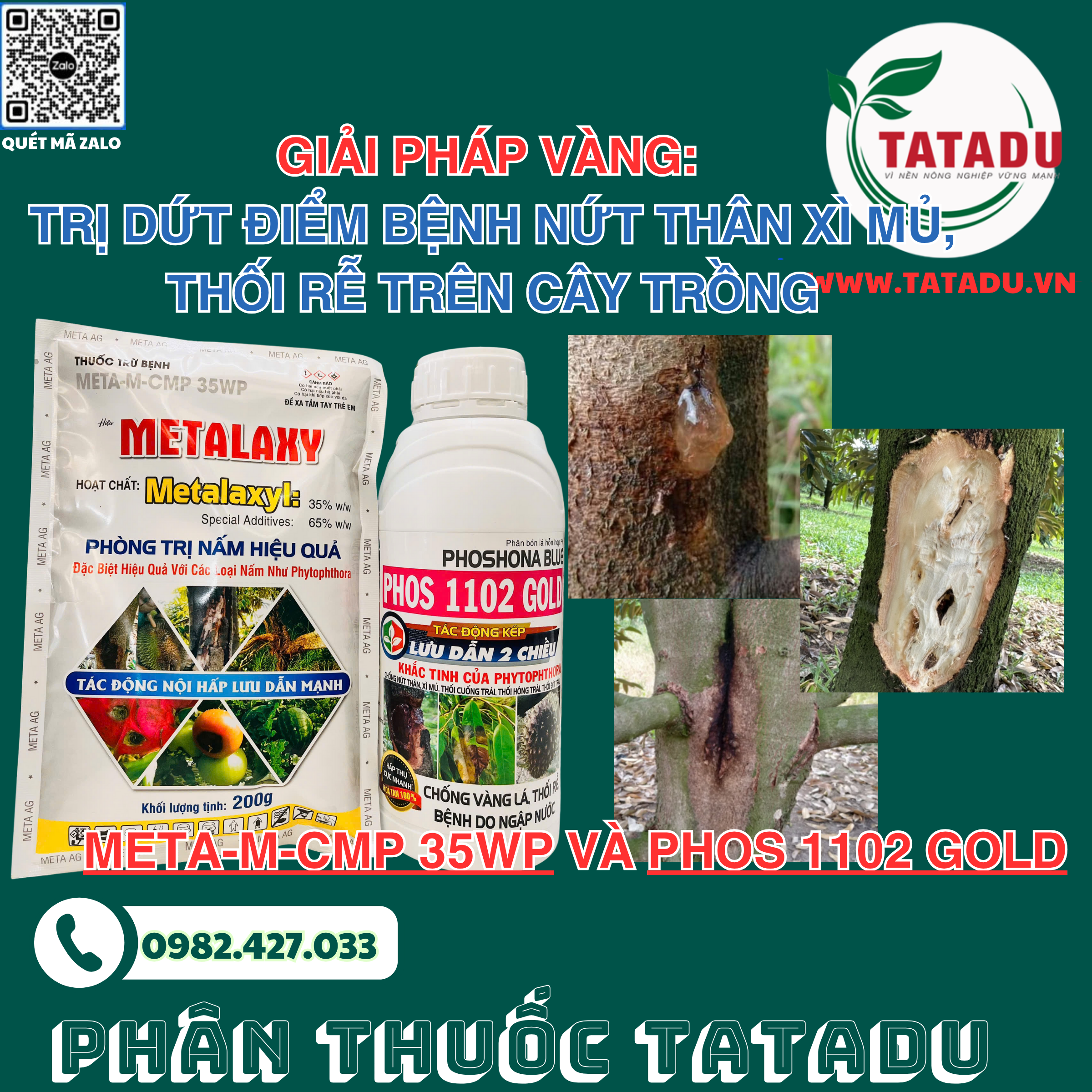 META M CMP 35WP va PHOS 1102 GOLD DAC TRI BENH NUT THAN XI MU THOI RE