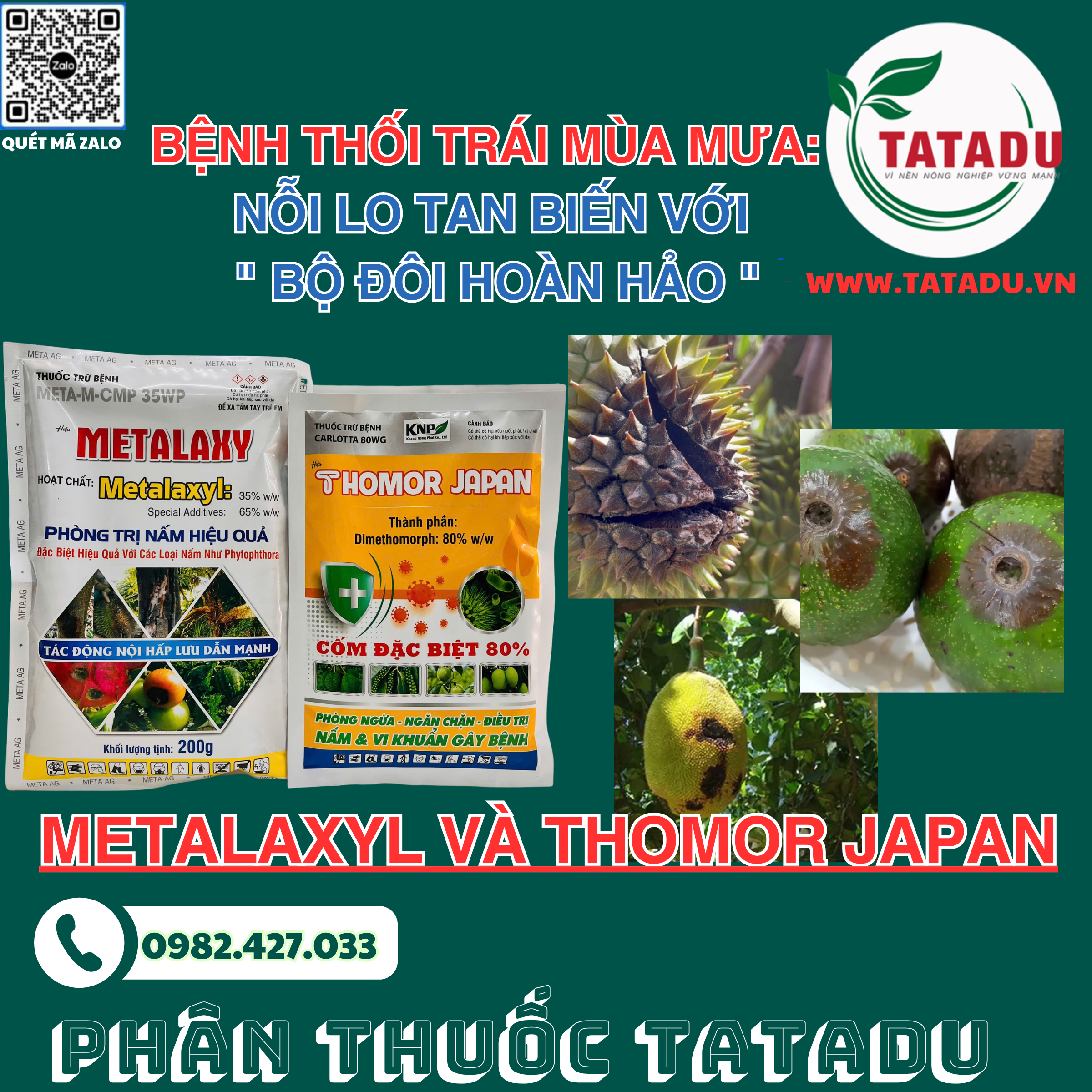 METALAXYL va THOMOR JAPAN DAC TRI BENH THOI TRAI MUA MUA