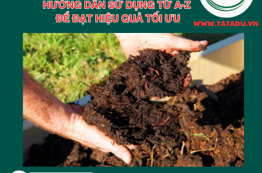 Nấm Trichoderma là gì? Hướng dẫn sử dụng từ A-Z để đạt hiệu quả tối ưu