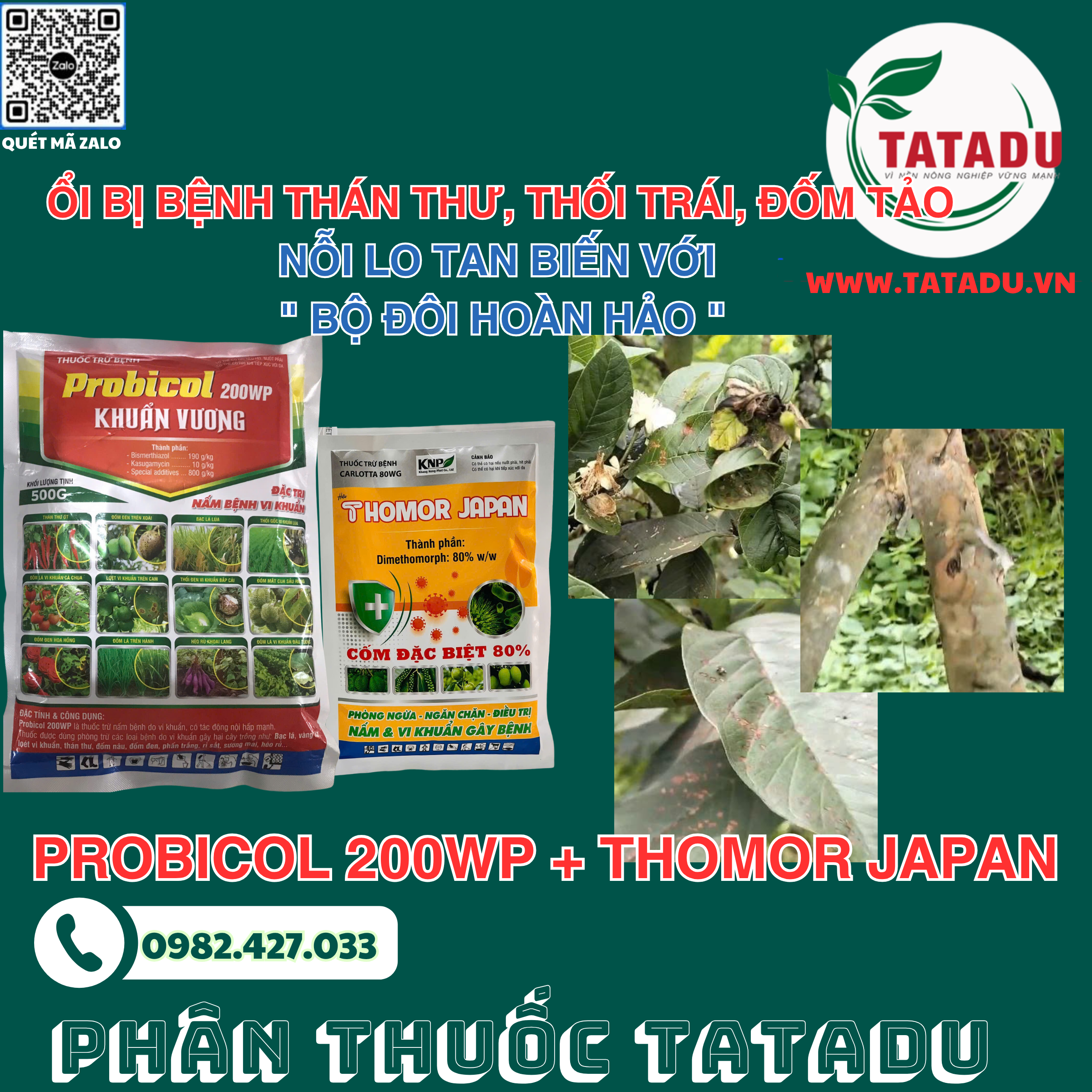OI BI benh THAN THU THOI TRAI DOM TAO NOI LO TAN BIEN VOI BO DOI HOAN HAO