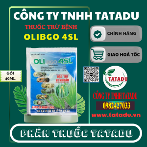 OLIBGO 4SL