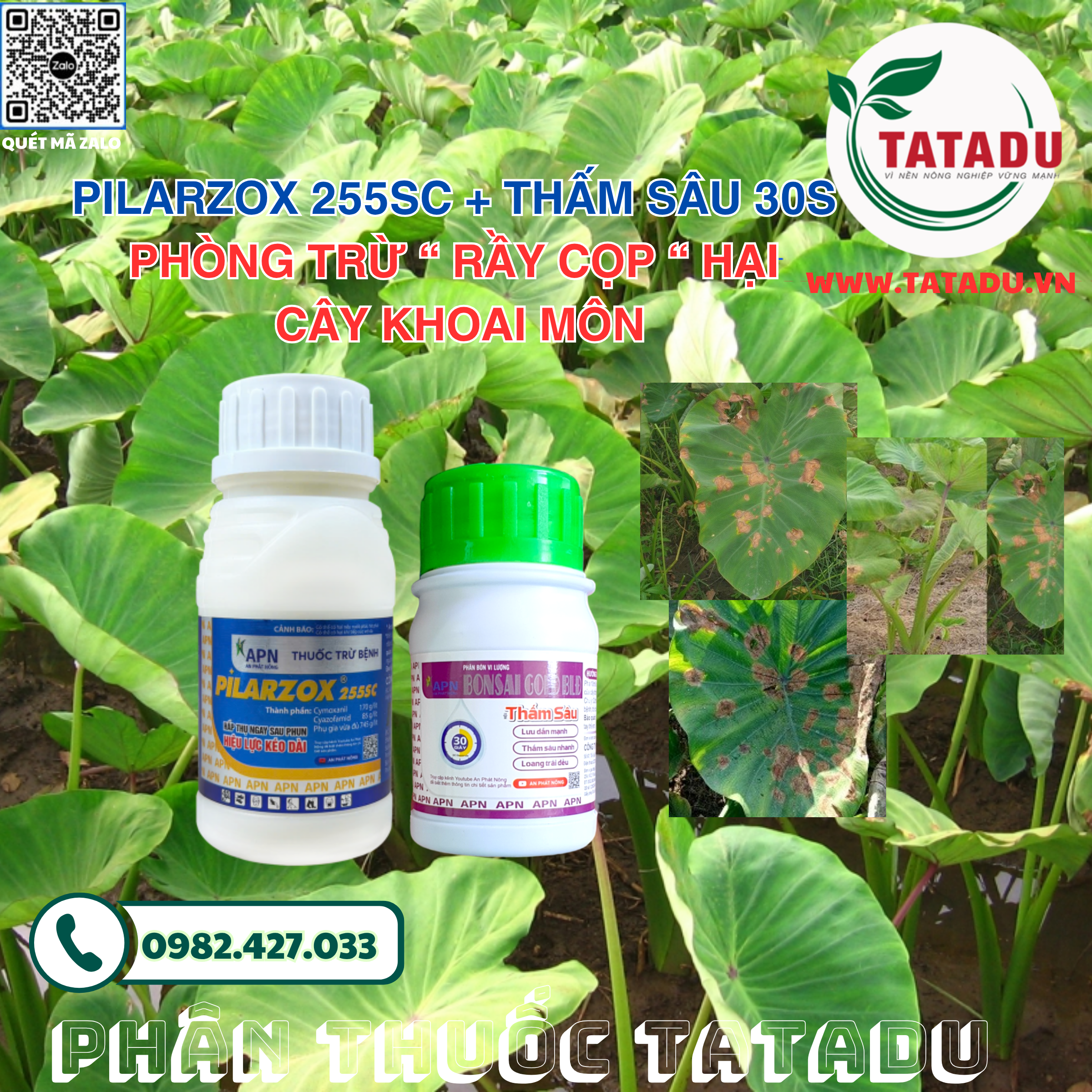 PILARZOX 255SC THAM SAU 30S PHONG TRU RAY COP HAI CAY KHOAI MON