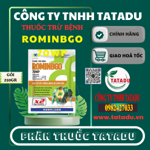 ROMINBGO 70WP