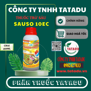 SAUSO 10EC