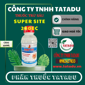 SUPER SITE 200EC