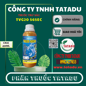 TVG20 565EC HT BIOCHEM