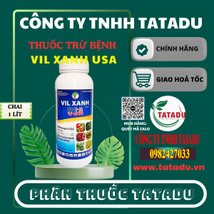 VIL XANH USA