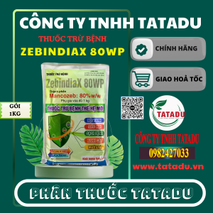 ZEBINDIAX 80WP