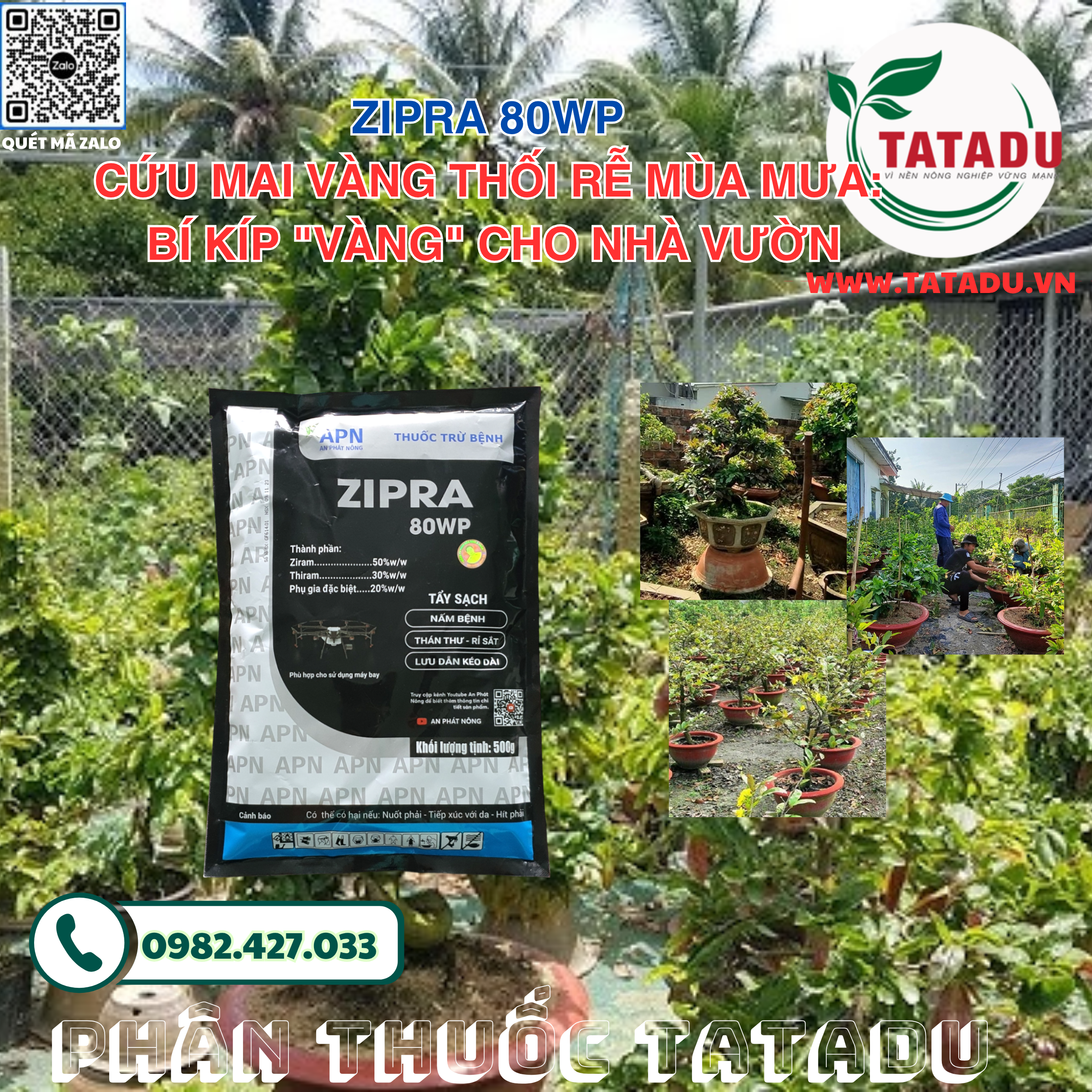 ZIPRA 80WP CUU MAI VANG THOI RE MUA MUA BI KIP VANG CHO NHA VUON