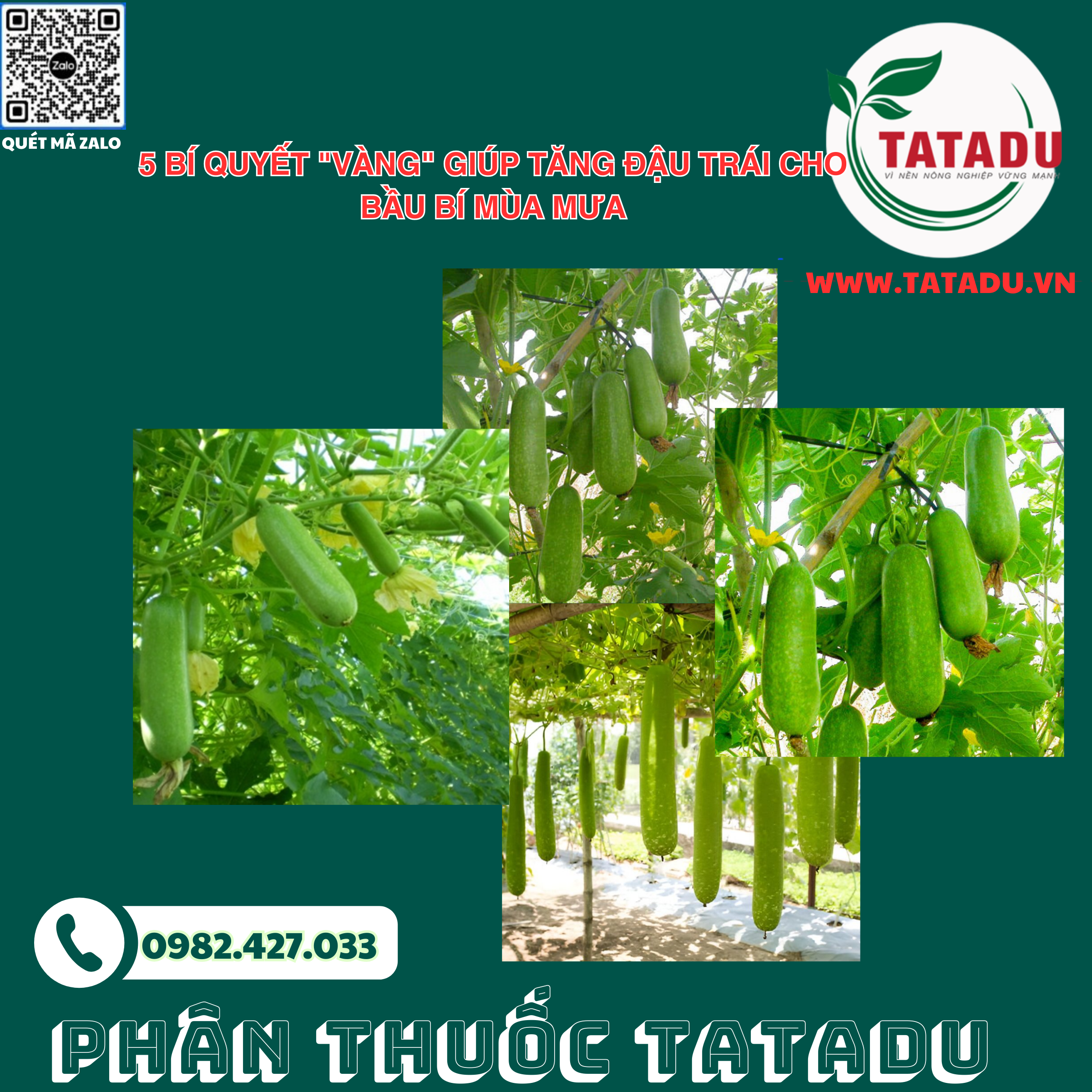5 BI QUYET VANG GIUP TANG DAU TRAI CHO BAU BI MUA MUA