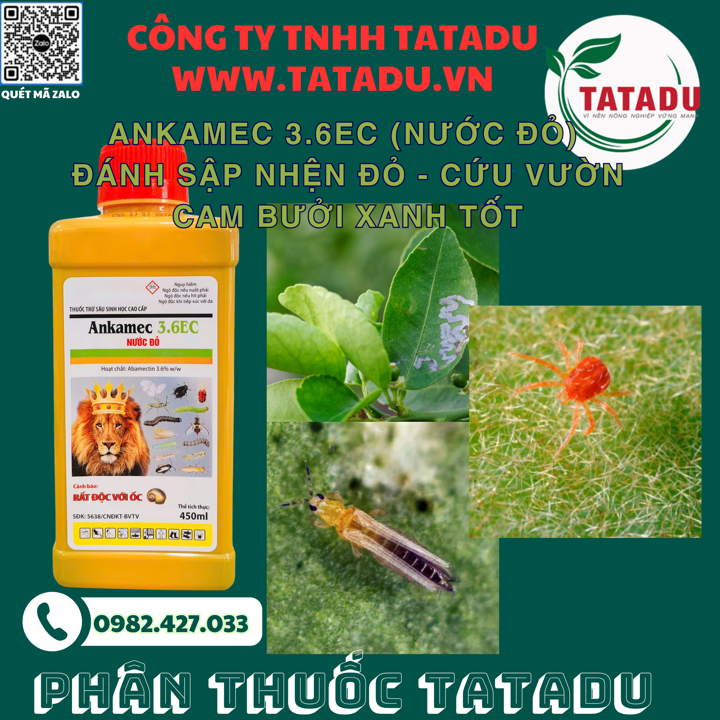 ANKAMEC 3.6EC NUOC DO DANH SAP NHEN DO CUU VUON CAM BUOI XANH TOT ANKAMEC 3.6EC NUOC DO DANH SAP NHEN DO CUU VUON CAM BUOI XANH TOT