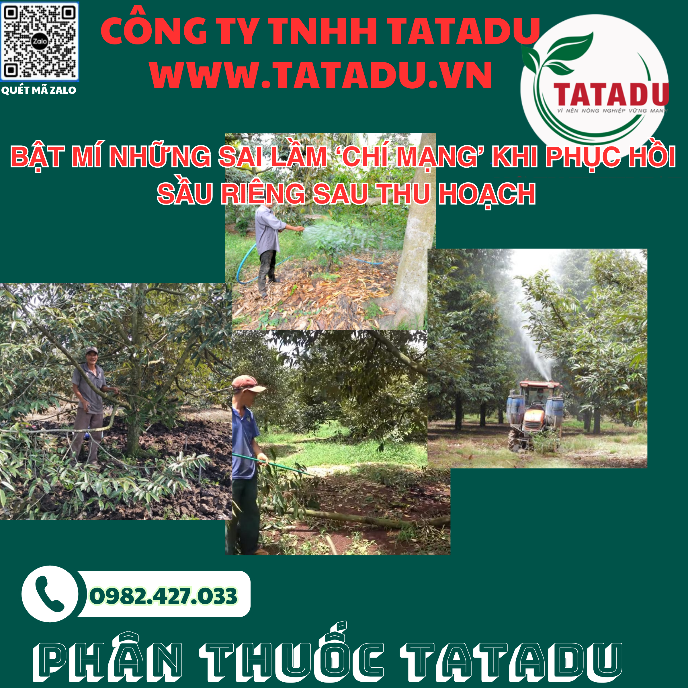 BAT MI NHUNG SAI LAM ‘CHI MANG KHI PHUC HOI SAU RIENG SAU THU HOACH