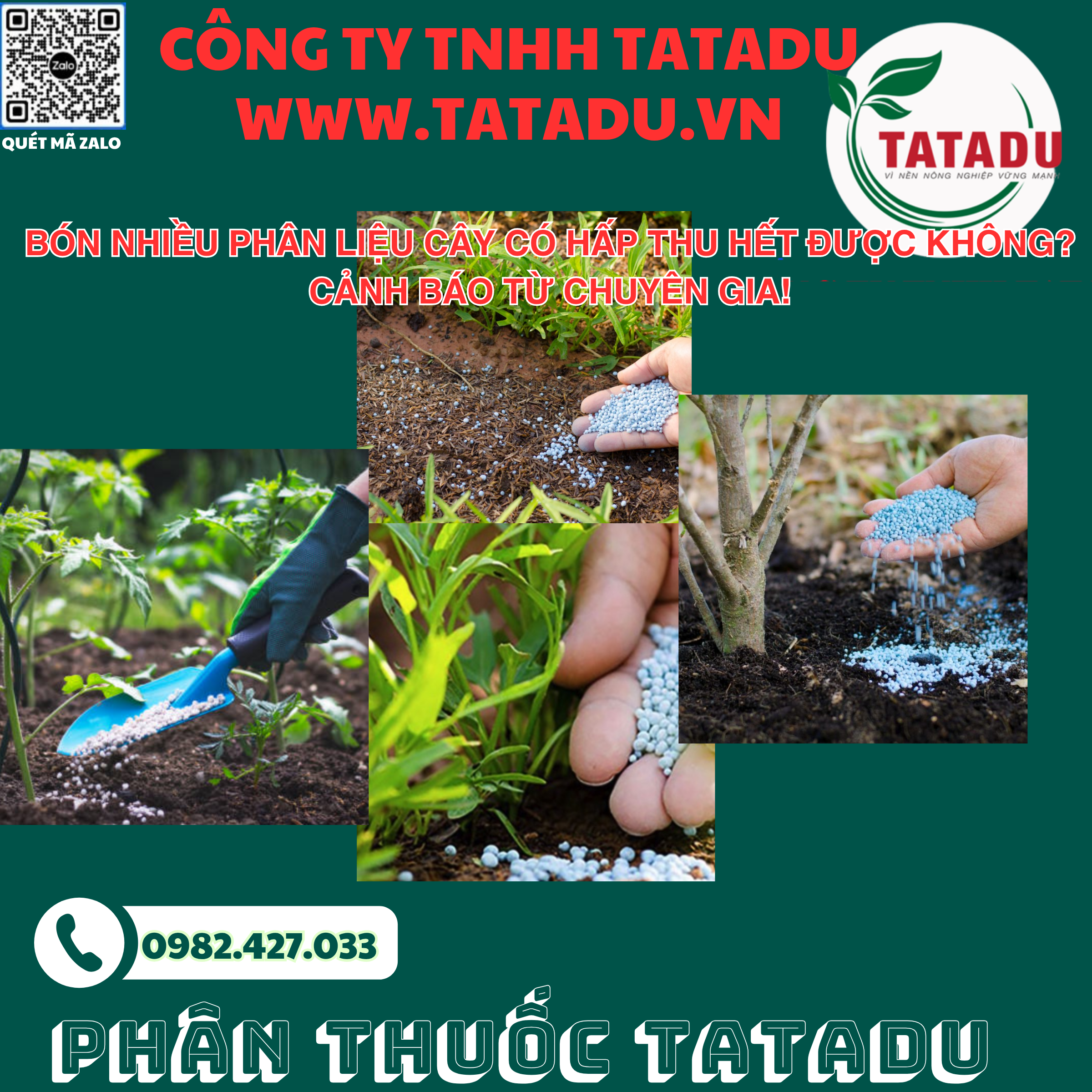 BON NHIEU PHAN LIEU CAY CO HAP THU HET DUOC KHONG CANH BAO TU CHUYEN GIA
