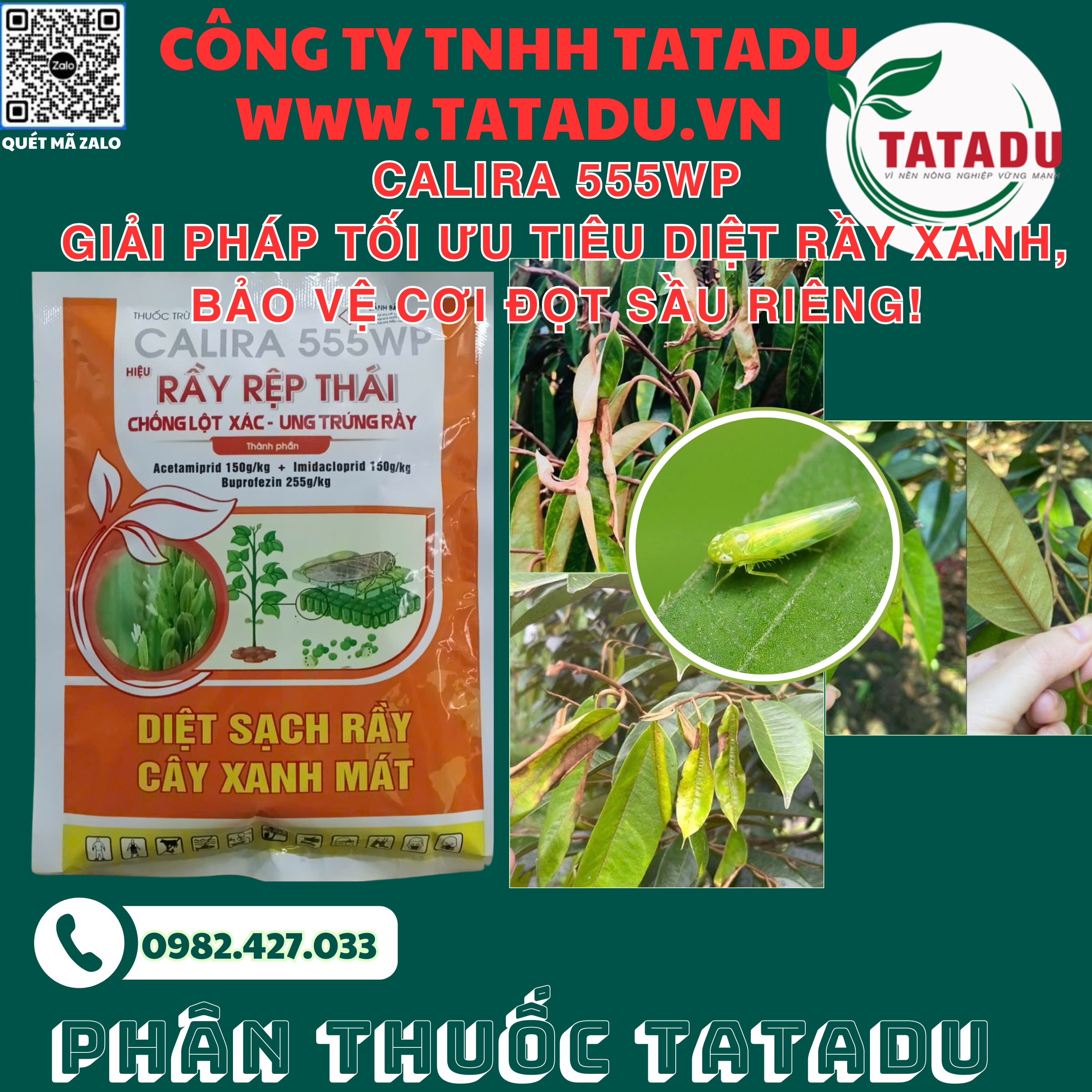 CALIRA 555WP GIAI PHAP TOI UU TIEU DIET RAY XANH BAO VE COI DOT SAU RIENG