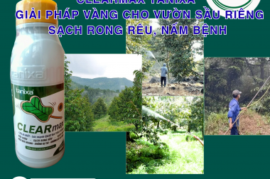 CLEARMAX TANIXA – GIẢI PHÁP VÀNG CHO VƯỜN SẦU RIÊNG SẠCH RONG RÊU, NẤM BỆNH