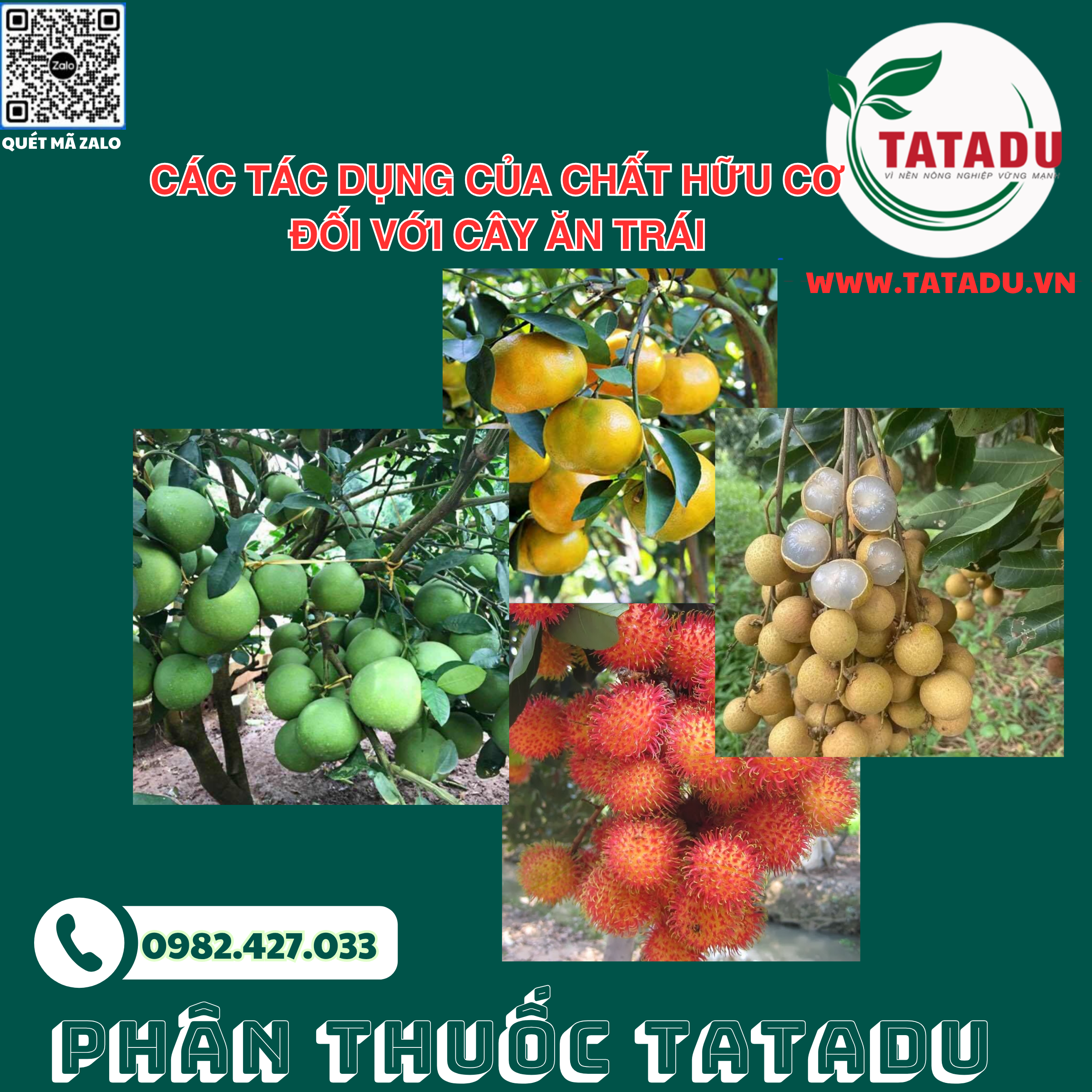 Cac tac dung cua chat huu co doi voi cay an trai