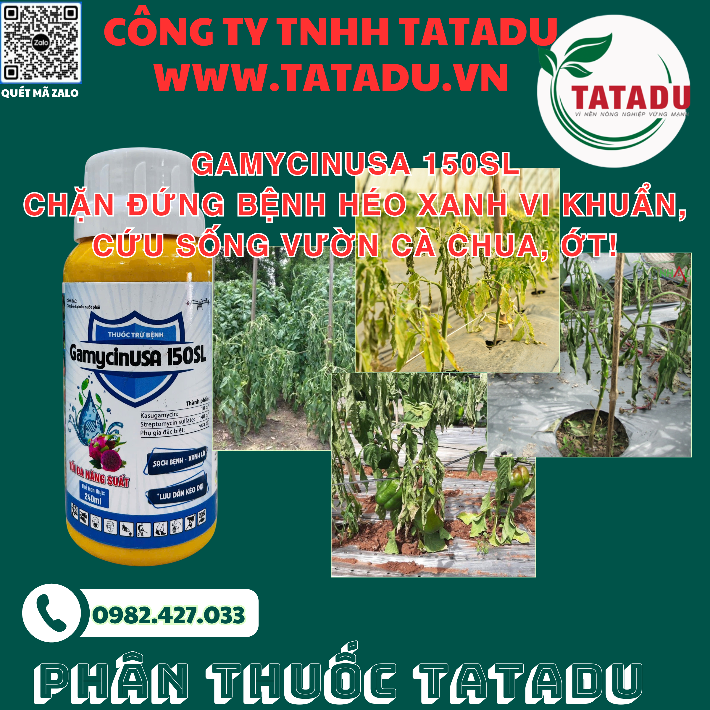 GAMYCINUSA 150SL CHAN DUNG BENH HEO XANH VI KHUAN CUU SONG VUON CA CHUA OT