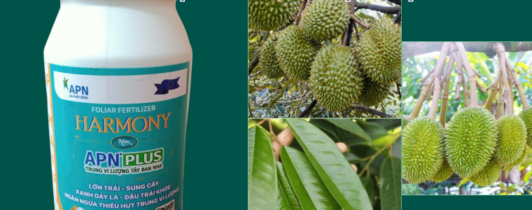 HARMONY APN PLUS BI QUYET TU TAY BAN NHA GIUP VUON CAY LOT XAC NGOAN MUC