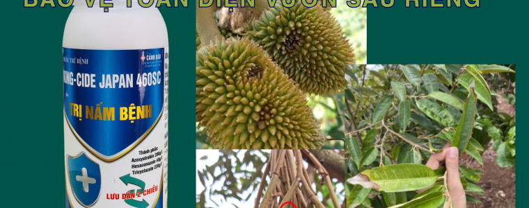 KING CIDE JAPAN 460SC TUYET CHIEU DANH BAY THAN THU BAO VE TOAN DIEN VUON SAU RIENG