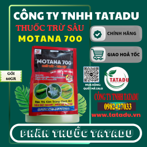 MOTANA 700