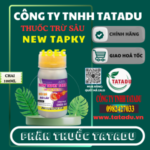 NEW TAPKY 10EC TPC