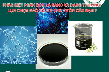 PHÂN BIỆT PHÂN BÓN LÁ NANO VÀ DẠNG THƯỜNG: LỰA CHỌN NÀO TỐI ƯU CHO VƯỜN CỦA BẠN ?