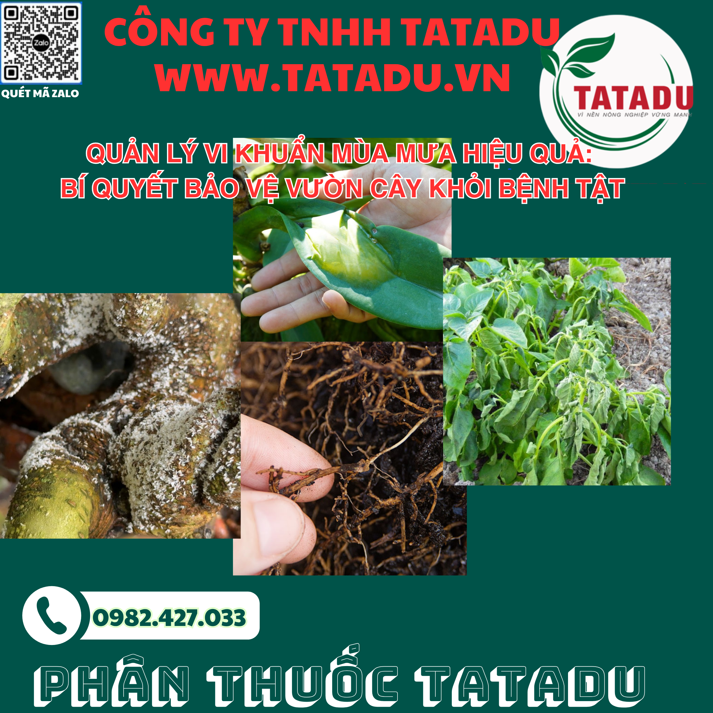QUAN LY VI KHUAN MUA MUA HIEU QUA BI QUYET BAO VE VUON CAY KHOI BENH TAT QUAN LY VI KHUAN MUA MUA HIEU QUA BI QUYET BAO VE VUON CAY KHOI BENH TAT