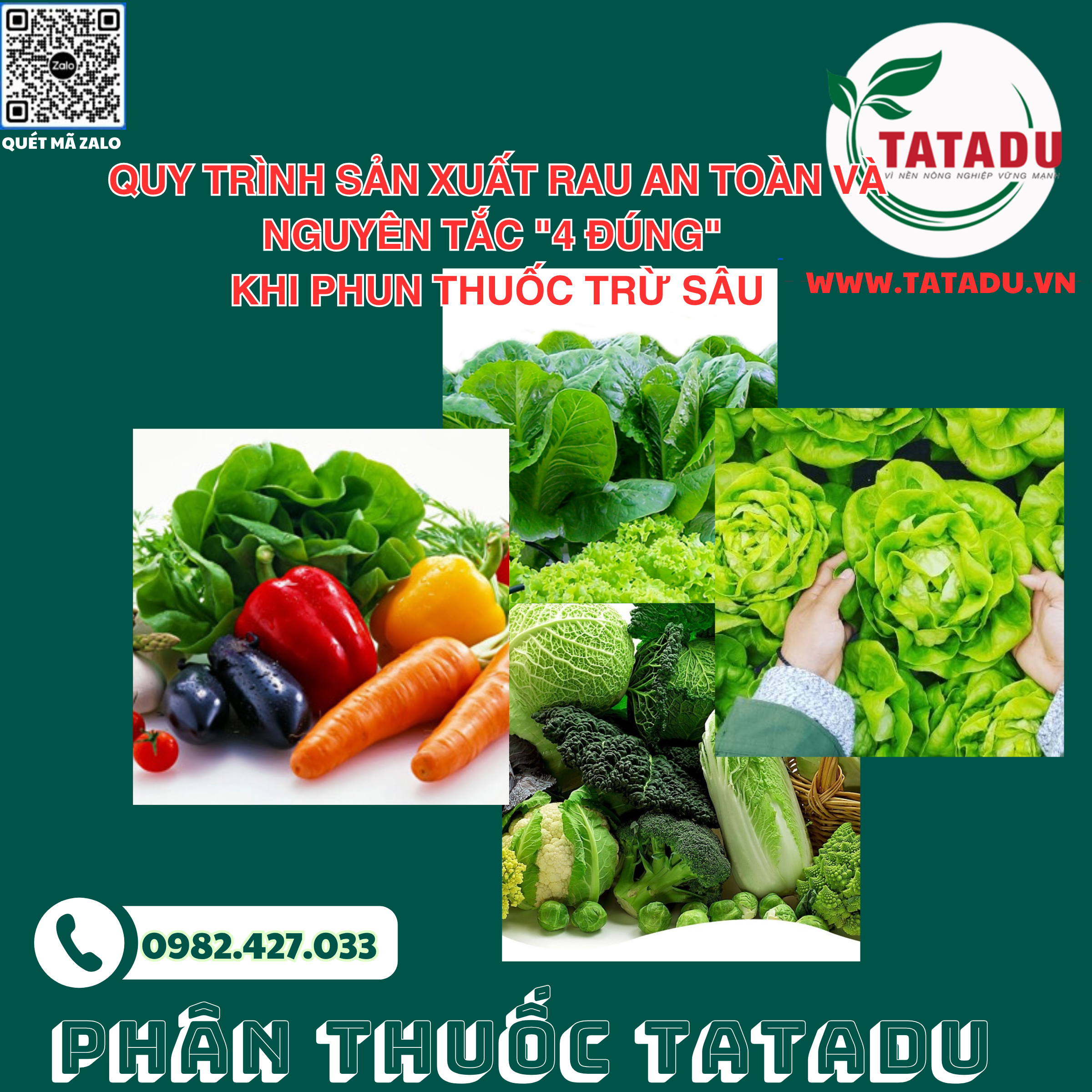 QUY TRINH SAN XUAT RAU AN TOAN VA NGUYEN TAC 4 DUNG KHI PHUN THUOC TRU SAU