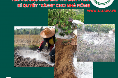 RẢI VÔI SAU BAO LÂU THÌ BÓN PHÂN ? BÍ QUYẾT “VÀNG” CHO NHÀ NÔNG