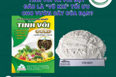 TINH VÔI VÀ VÔI BỘT: ĐÂU LÀ “VŨ KHÍ” TỐI ƯU CHO VƯỜN CÂY CỦA BẠN?