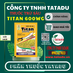 TITAN 600WG