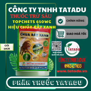 TOPCHETS 650WG HIEU CHUA RAY XANH