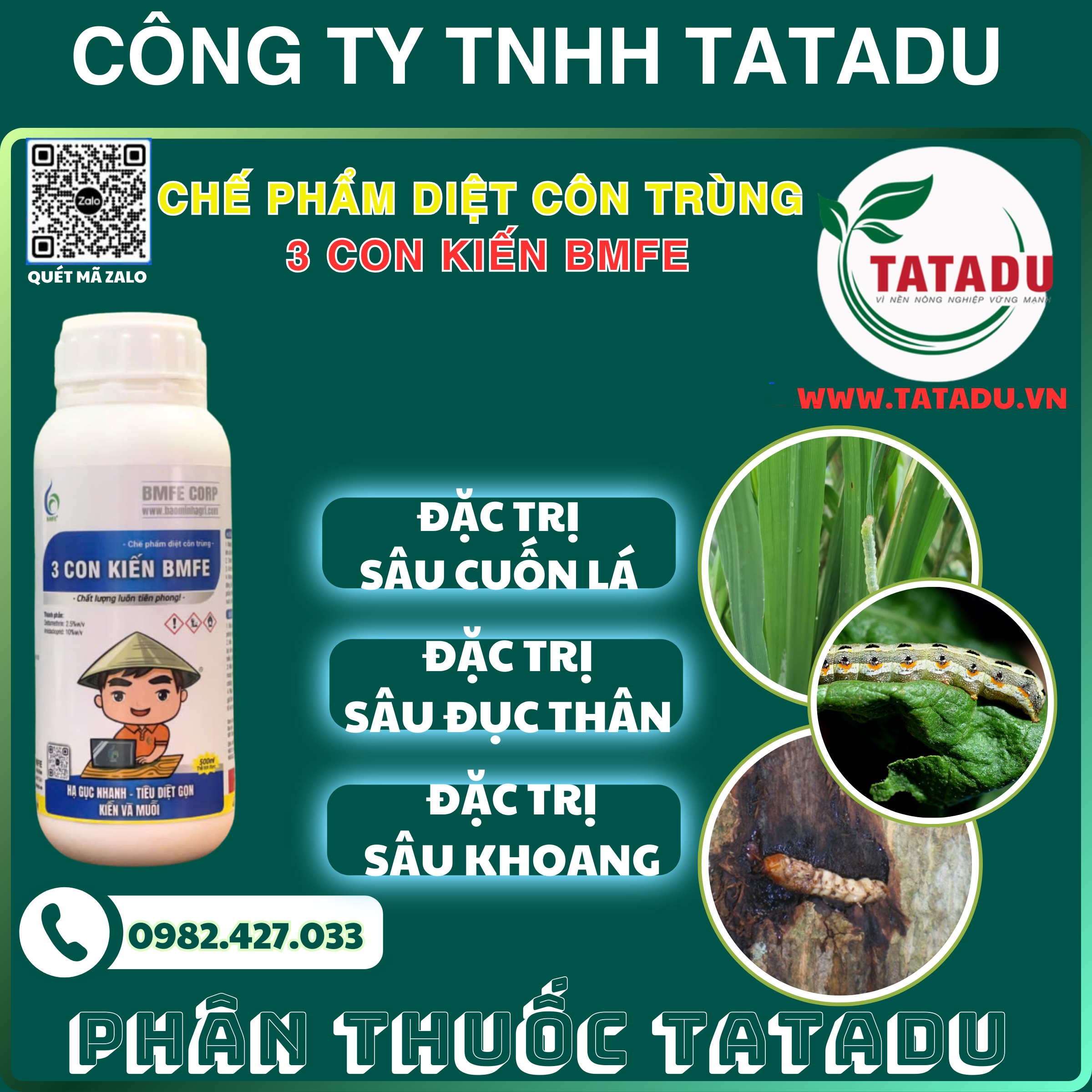 3 CON KIEN BMFE DAC TRI SAU CUON LA SAU DUC THAN SAU KHOANG 3 CON KIEN BMFE DAC TRI SAU CUON LA SAU DUC THAN SAU KHOANG