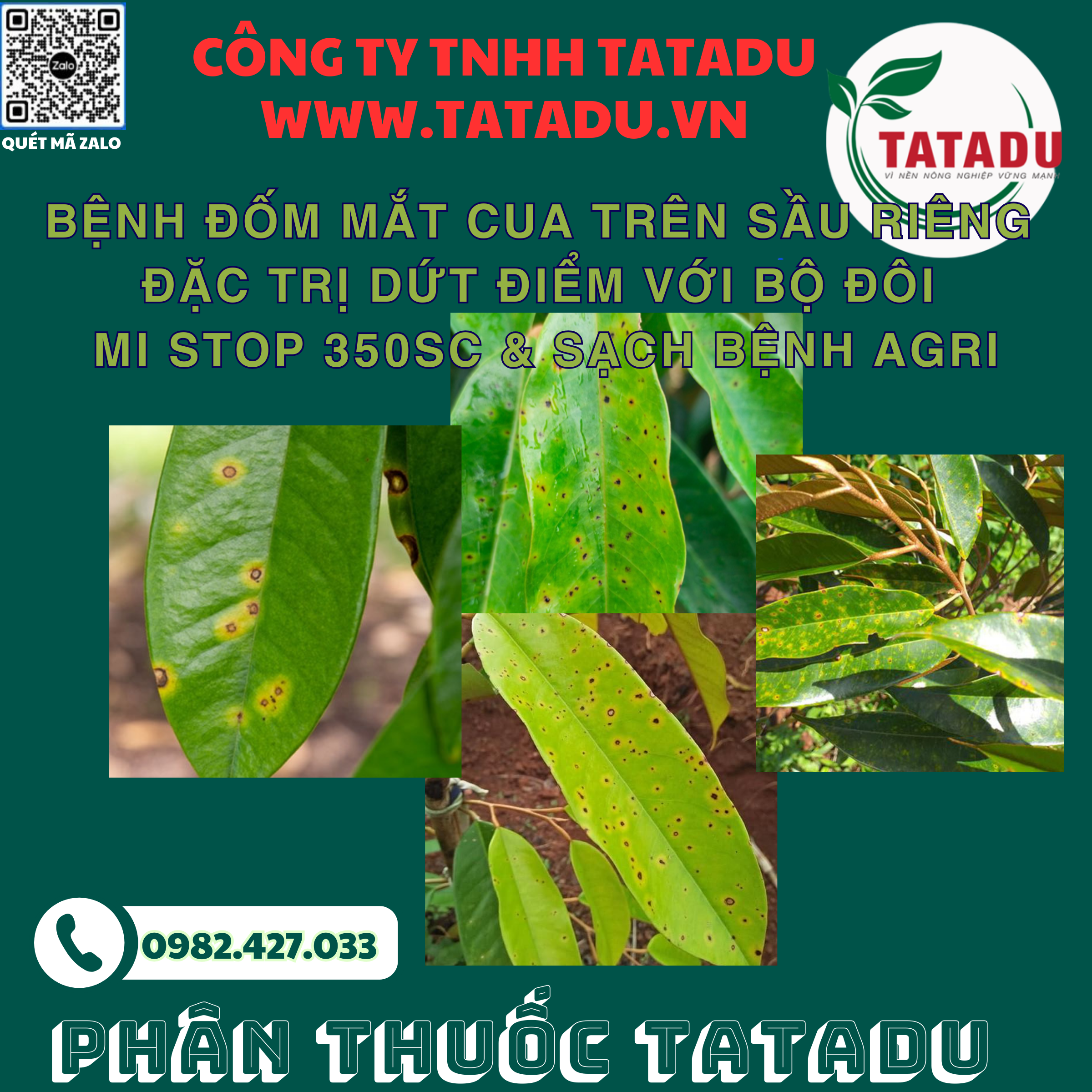 BENH DOM MAT CUA TREN SAU RIENG DAC TRI DUT DIEM VOI BO DOI MI STOP 350SC SACH BENH AGRI