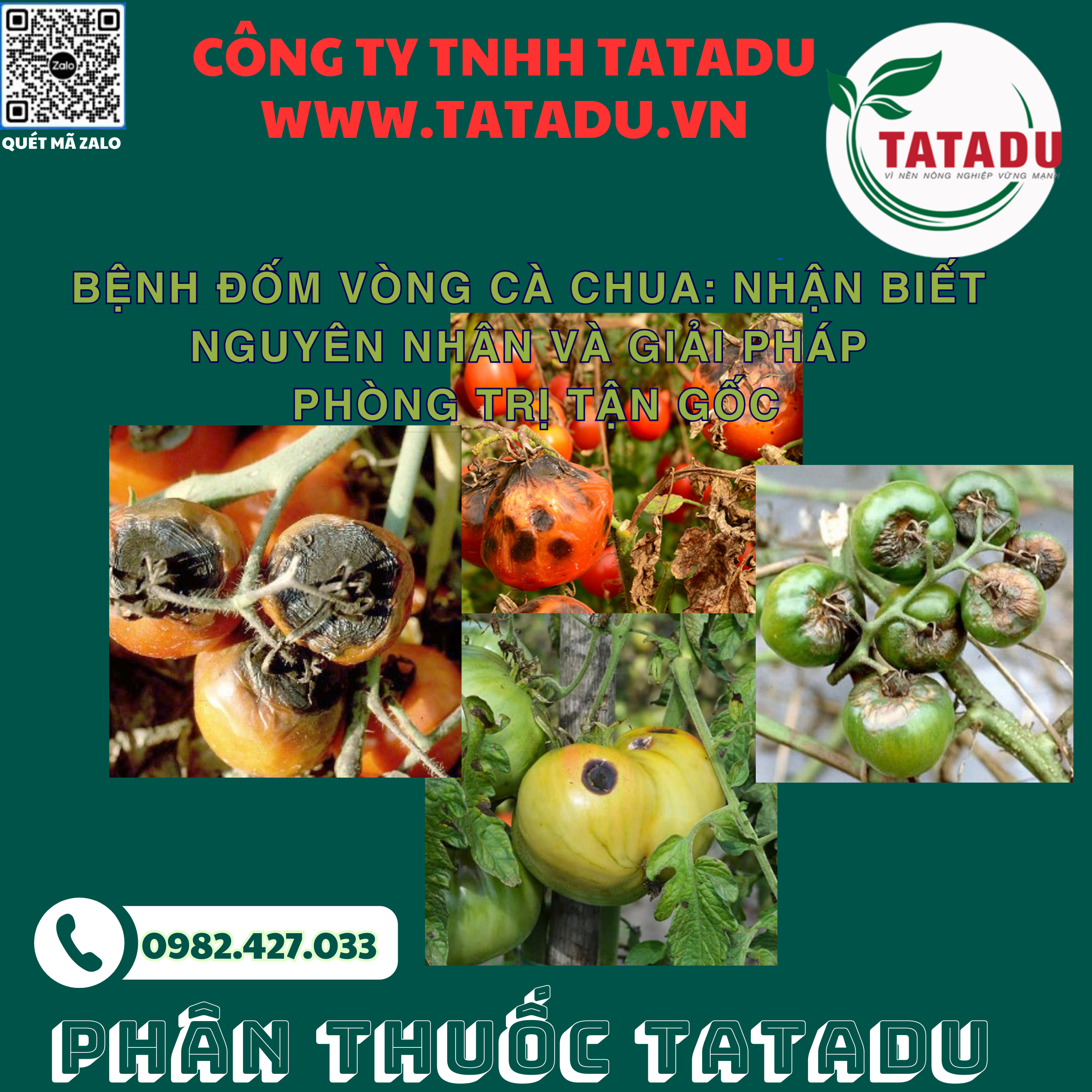 BENH DOM VONG CA CHUA NHAN BIET NGUYEN NHAN VA GIAI PHAP PHONG TRI TAN GOC