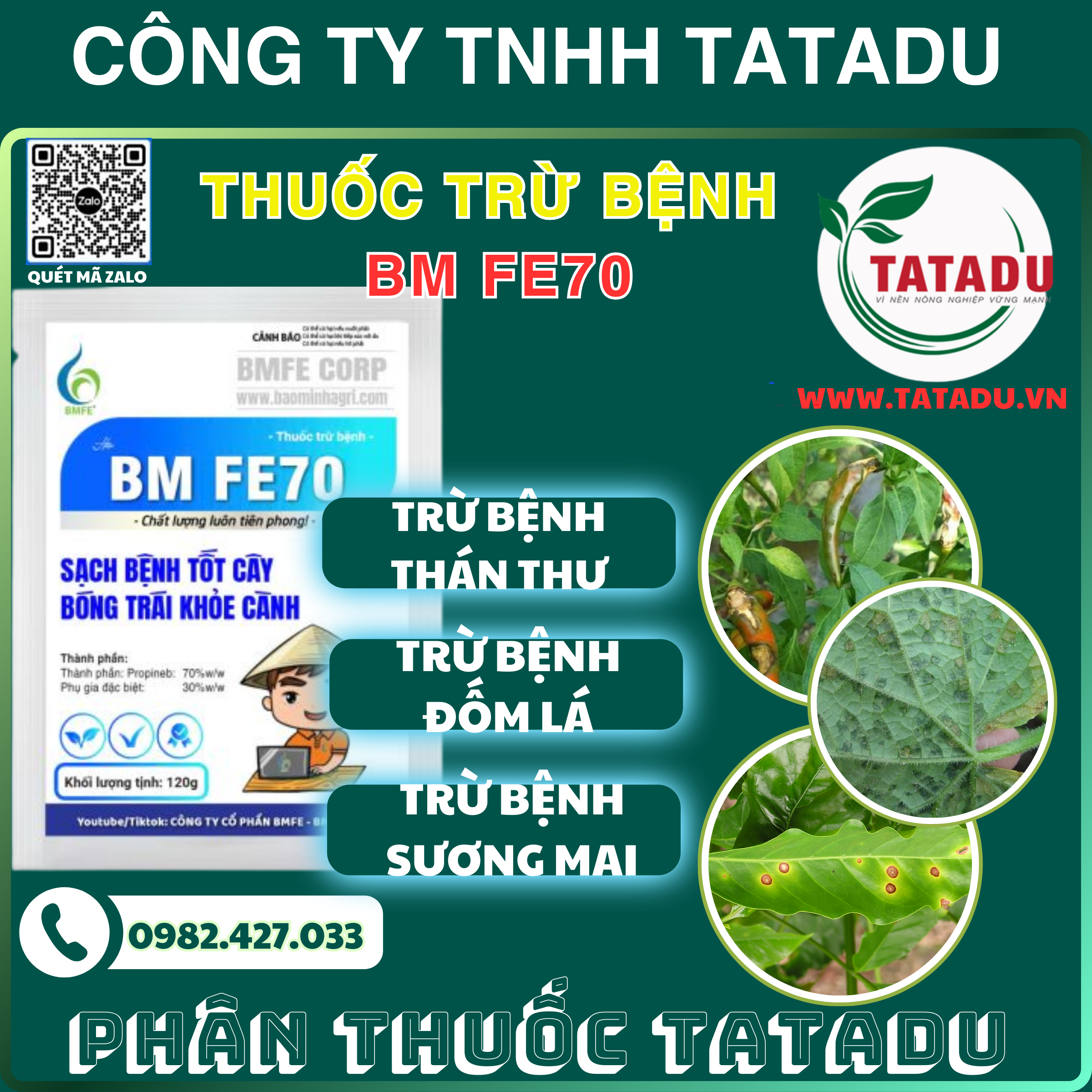 BM FE70 TRU BENH THAN THU DOM LA SUONG MAI BM FE70 TRU BENH THAN THU DOM LA SUONG MAI