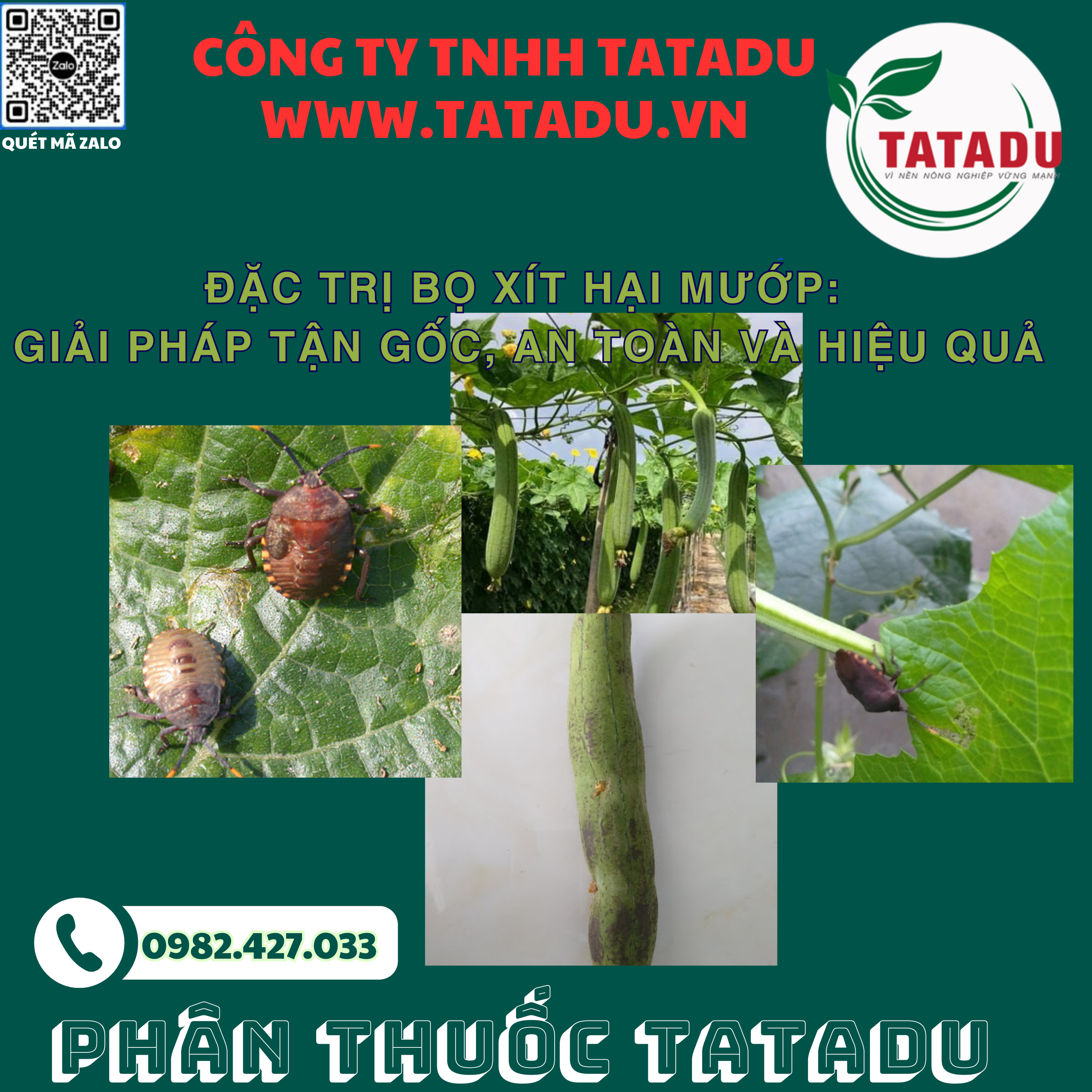 DAC TRI BO XIT HAI MUOP GIAI PHAP TAN GOC AN TOAN VA HIEU QUA