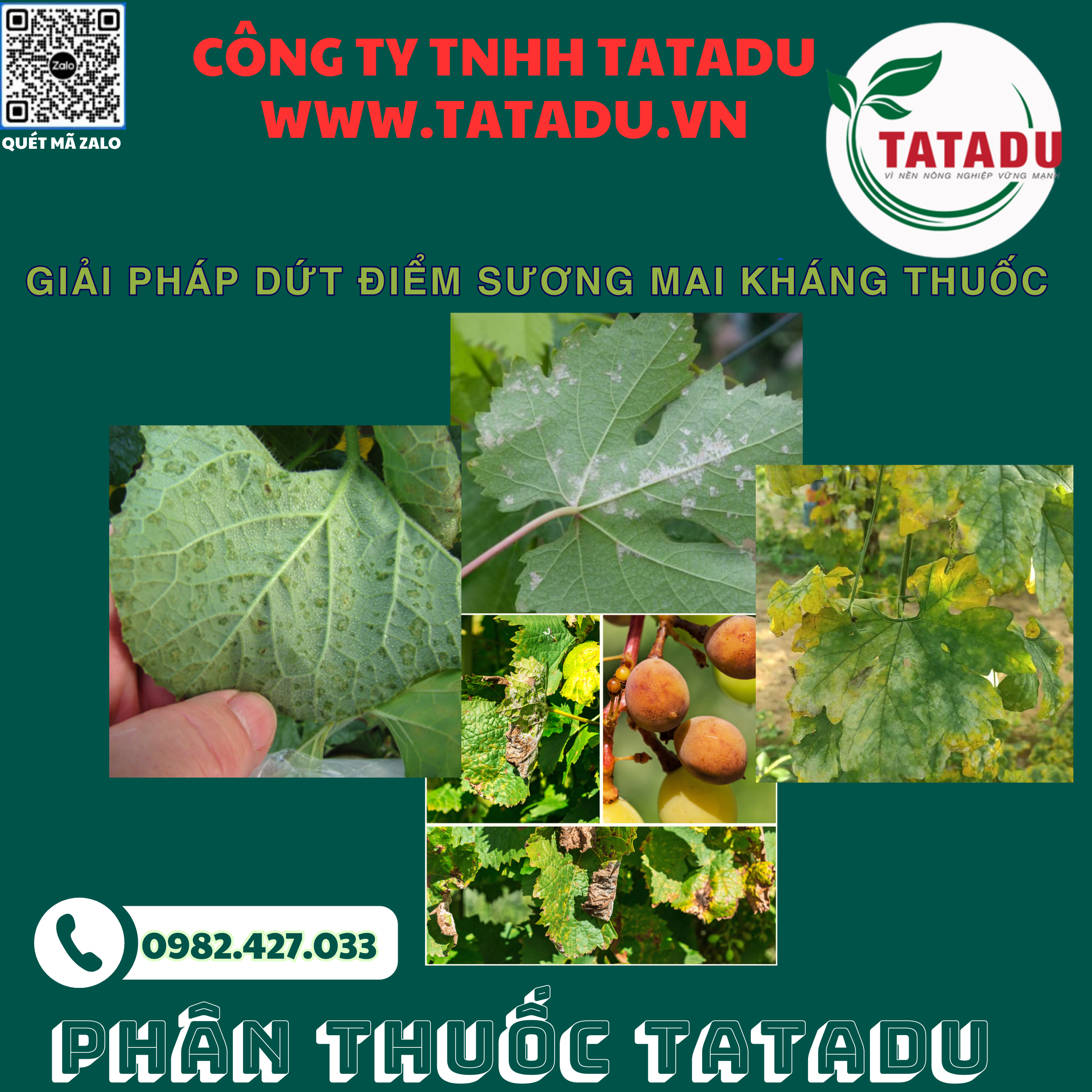 GIAI PHAP DUT DIEM SUONG MAI KHANG THUOC