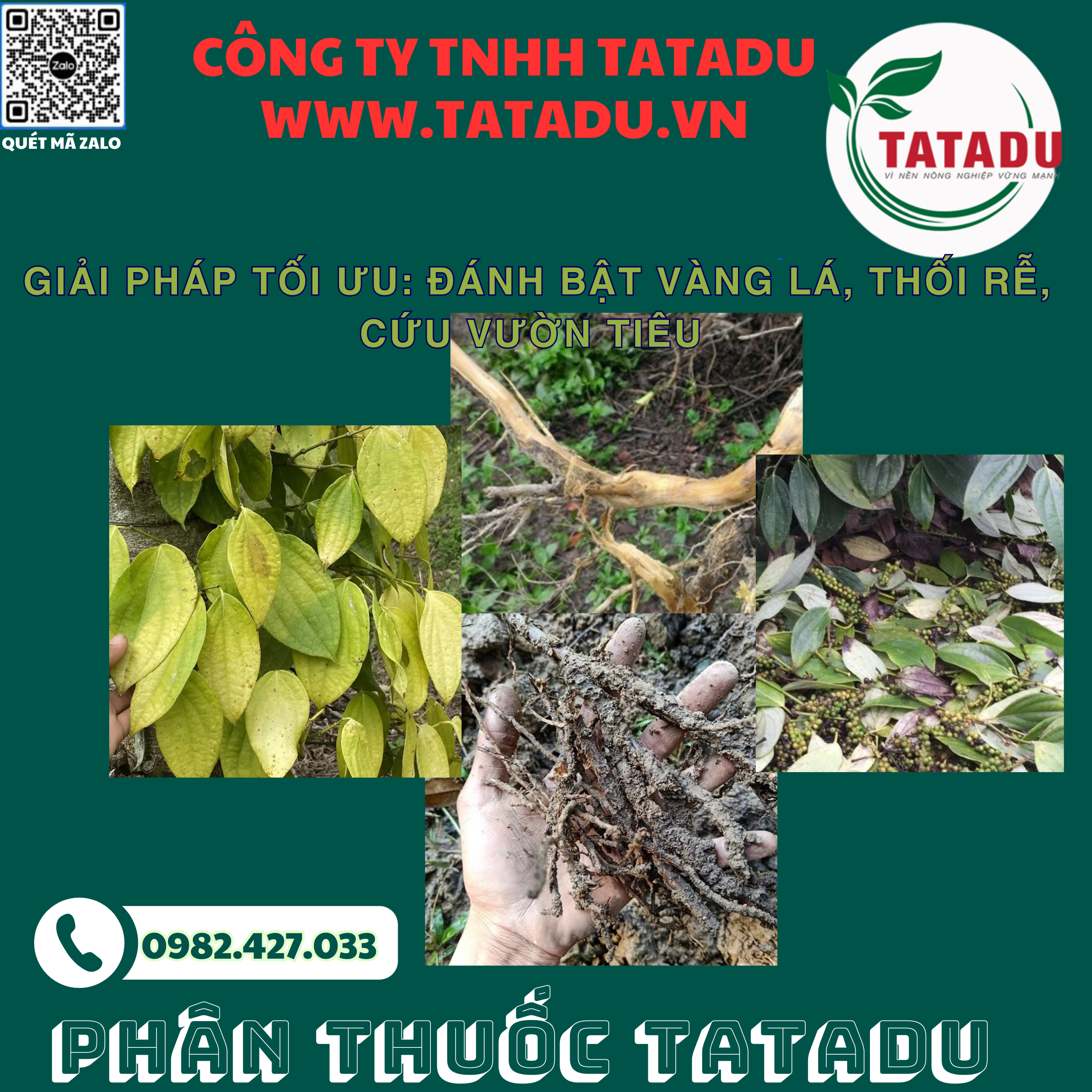 GIAI PHAP TOI UU DANH BAT VANG LA THOI RE CUU VUON TIEU