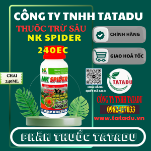 NK SPIDER 240EC