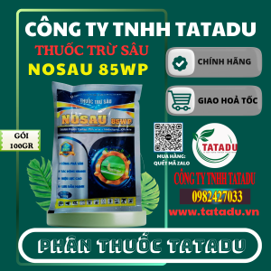NOSAU 85WP 1