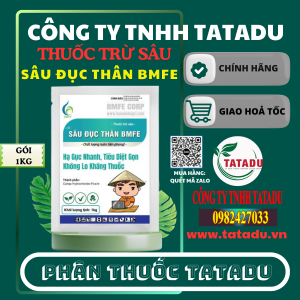 SÂU ĐỤC THÂN BMFE