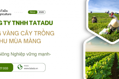 CÔNG TY TNHH TATADU VIỆT NAM