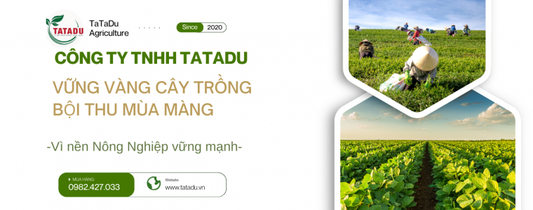 BANNER TATADU 1