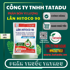 LAN HITOCO 90 2