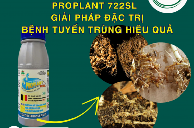 PROPLANT 722SL – GIẢI PHÁP ĐẶC TRỊ BỆNH TUYẾN TRÙNG HIỆU QUẢ