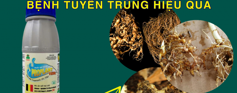 PROPLANT 722SL GIAI PHAP DAC TRI BENH TUYEN TRUNG HIEU QUA