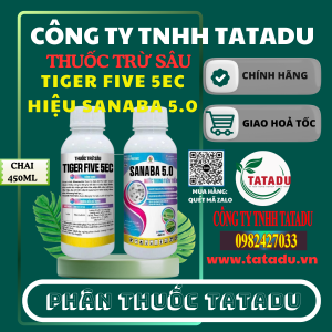 TIGER FIVE 5EC HIEU SANABA 5.0