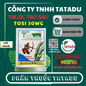 TOSI 30WG 1
